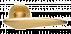Дверные ручки MORELLI Luxury BOLID OSA Цвет - Матовое золото