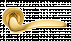 Дверные ручки MORELLI Luxury COBRA OSA/OTL Цвет - Матовое золото/золото