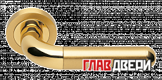 Дверные ручки MORELLI Luxury GAVANA OSA/OTL Цвет - Матовое золото/золото