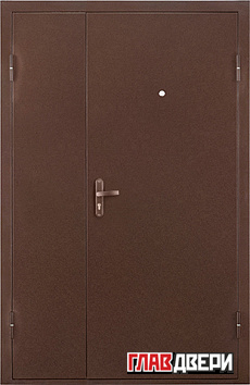Металлическая дверь ПРОФИ DL (металл/металл)