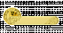 Дверные ручки MORELLI Luxury LE BOAT HM OTL/2 Цвет - Золото