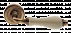 Дверные ручки MORELLI Luxury CERAMICA OBR/CHA с керамической вставкой Цвет - Бронза/Керамика шампань