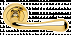 Дверные ручки MORELLI Luxury ASTRO OTL Цвет - Золото