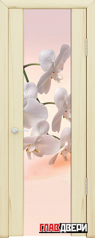 Шторм-3 стекло "Орхидея"