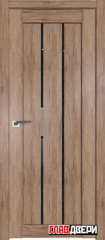 Дверь Profildoors 49XN стекло Дождь черный (Салинас Светлый)
